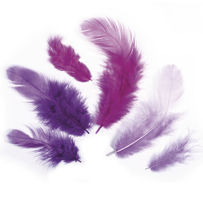 FEATHER MIX 3-10CM 10G - Image 4