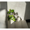 VASE TRENDY CONCRETE - Image 2