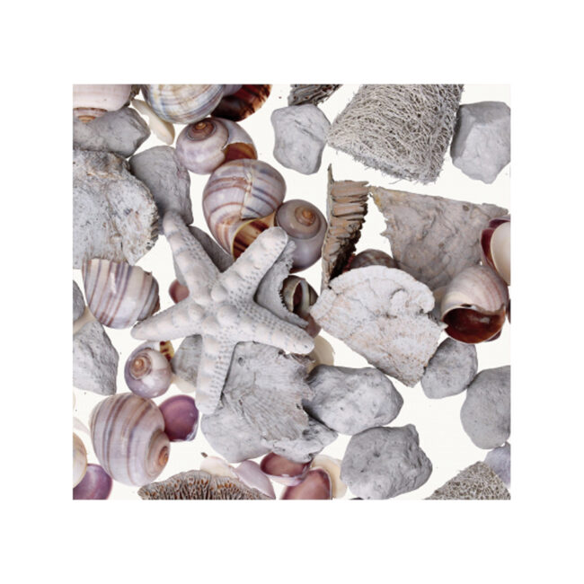 POT POURRI ASSORTED 3 COLORS 425GR - Image 5