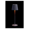 RGB RECHARGER LAMP USB WHITE 11X36,5CM - Image 3