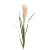 PAMPAS GRASS LT BROWN 120CM