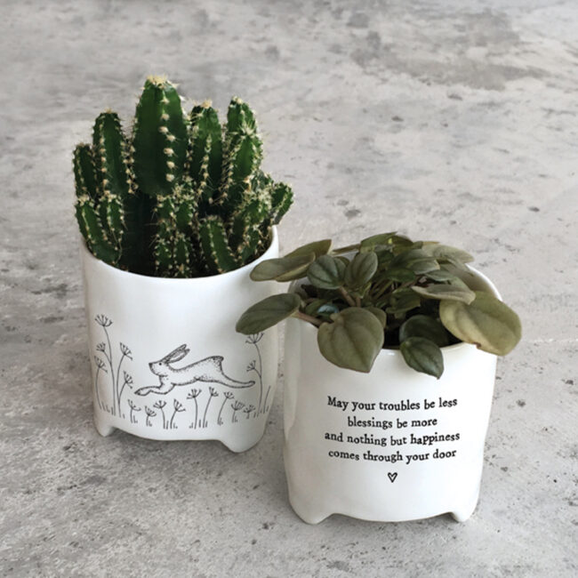 PLANTER MAY YOUR TROUBLES BE LESS 8X10,5X9CM - Image 3