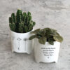 PLANTER FRIENDS ARE LIKE FLOWERS 8X10,5X9CM - Image 3