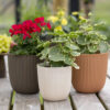 PLANTER BALL GROOVE PEACHY FUZZ - Image 2