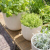 PLANTER BALL GROOVE SAWDUST WHITE - Image 3