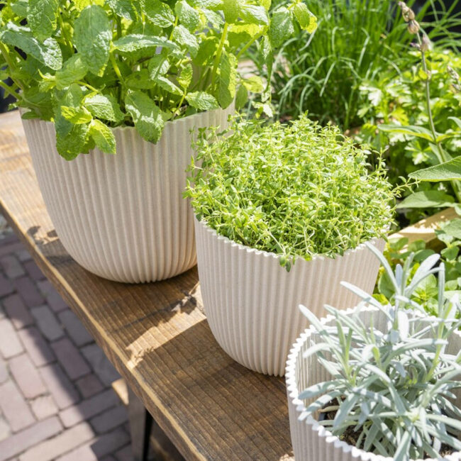 PLANTER BALL GROOVE SAWDUST WHITE - Image 3