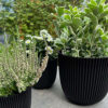 PLANTER BALL GROOVE TEXTILE BLACK - Image 2
