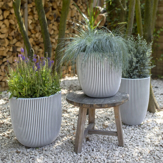 PLANTER BALL GROOVE NL IVORY - Image 3