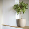 PLANTER BALL WASTE SMOOTH TERRAZZO BEIGE - Image 2