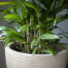 VASE ELEGANT LOW WASTE RIB NL TERRAZZO BEIGE - Image 2