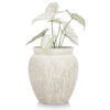 BRAGA POT BEIGE D38X40CM - Image 5