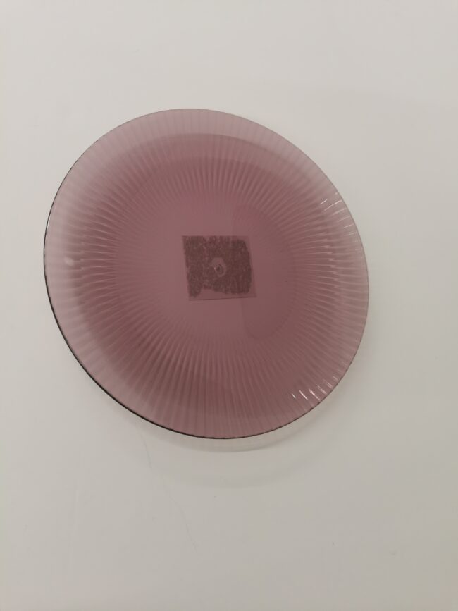 PLASTIC PLATE PANGAR ASSORTED 3 COLOURS - Image 2