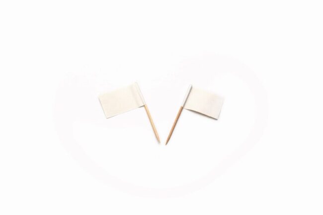 FLAG PICK (FSC) WHITE 500PCS