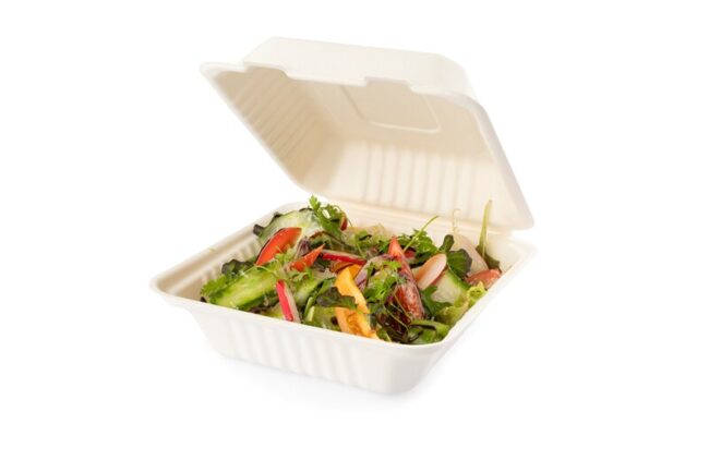 SENZA SUGARCANE FOOD CONTAINER SQUARE 1-COMP.203X203X80MM 40PCS - Image 3