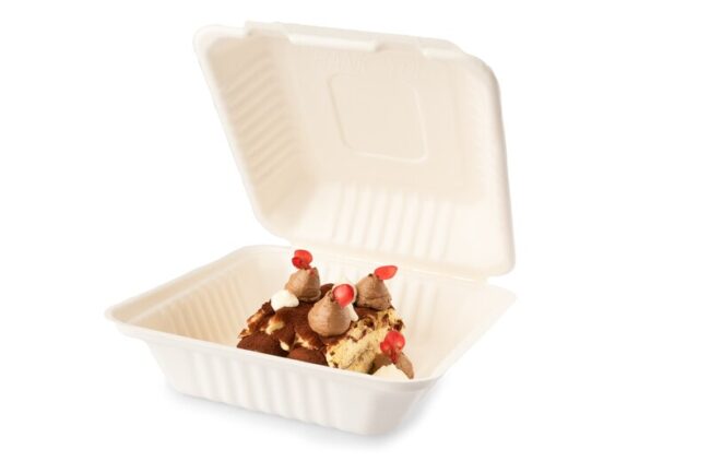SENZA SUGARCANE FOOD CONTAINER SQUARE 1-COMP.203X203X80MM 40PCS - Image 2