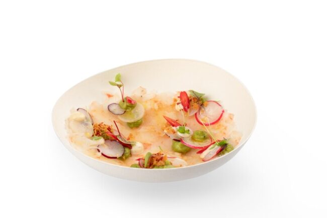 BAGASTRO MIDORI PLATE DEEP ROUND 20PCS - Image 5
