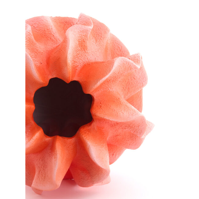VASE DECO SHARUNA CORAL - Image 3