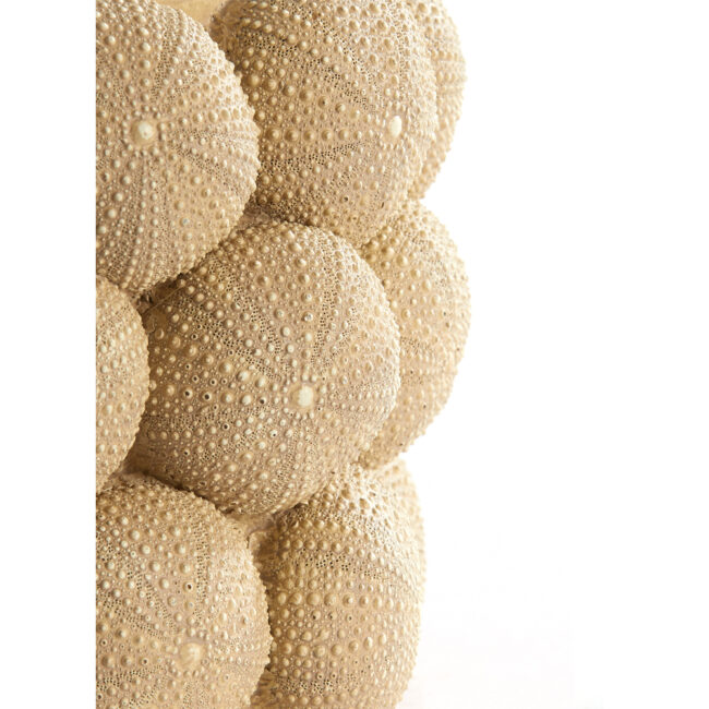 VASE DECO SEA URCHIN SAND - Image 4