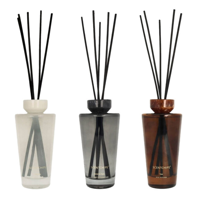 REED DIFFUSER CONE SECRET DE PARIS 500ML