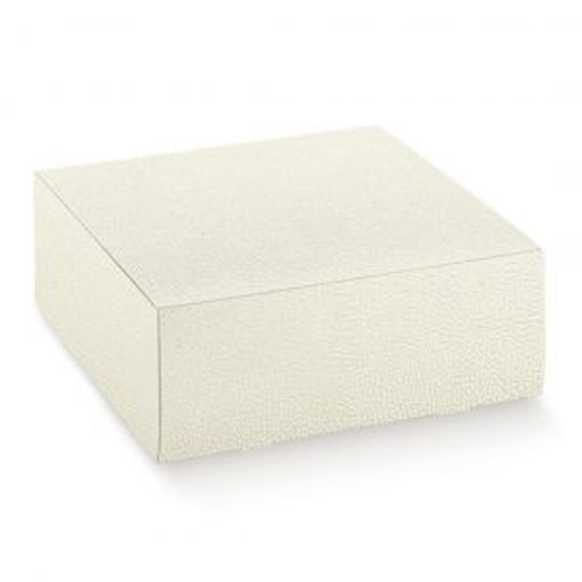 PRATICA CHIUSURA SEGRETO FIBRA BIANCO 550X450X100MM