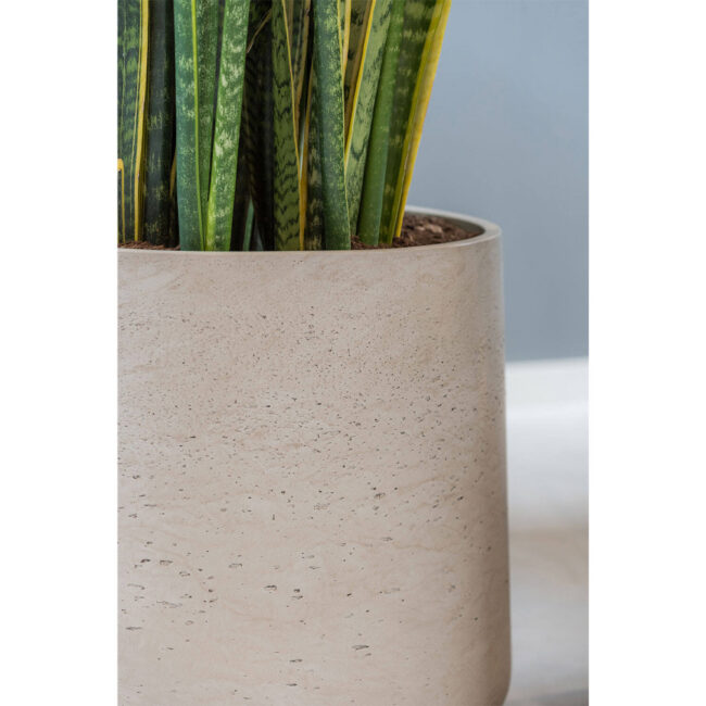 PATT GREY WASHED - Image 7
