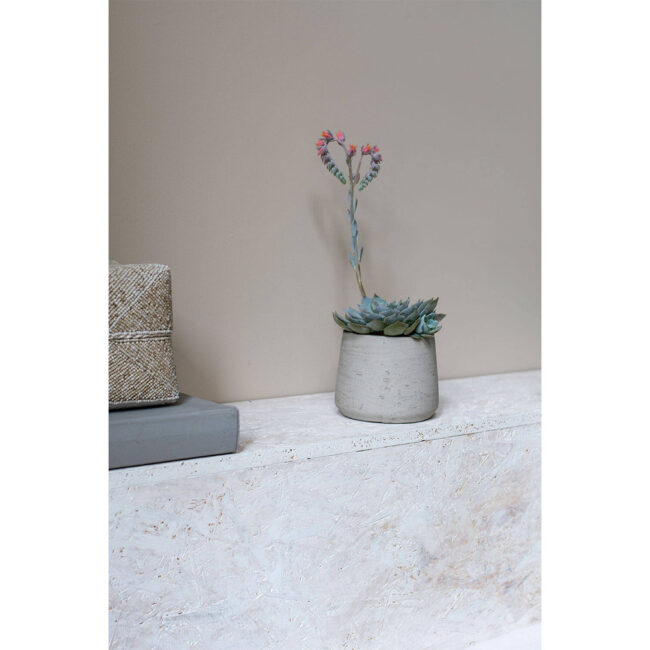 PATT GREY WASHED - Image 4