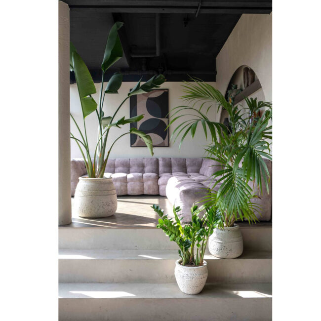 HESTIA CHALK WHITE - Image 2