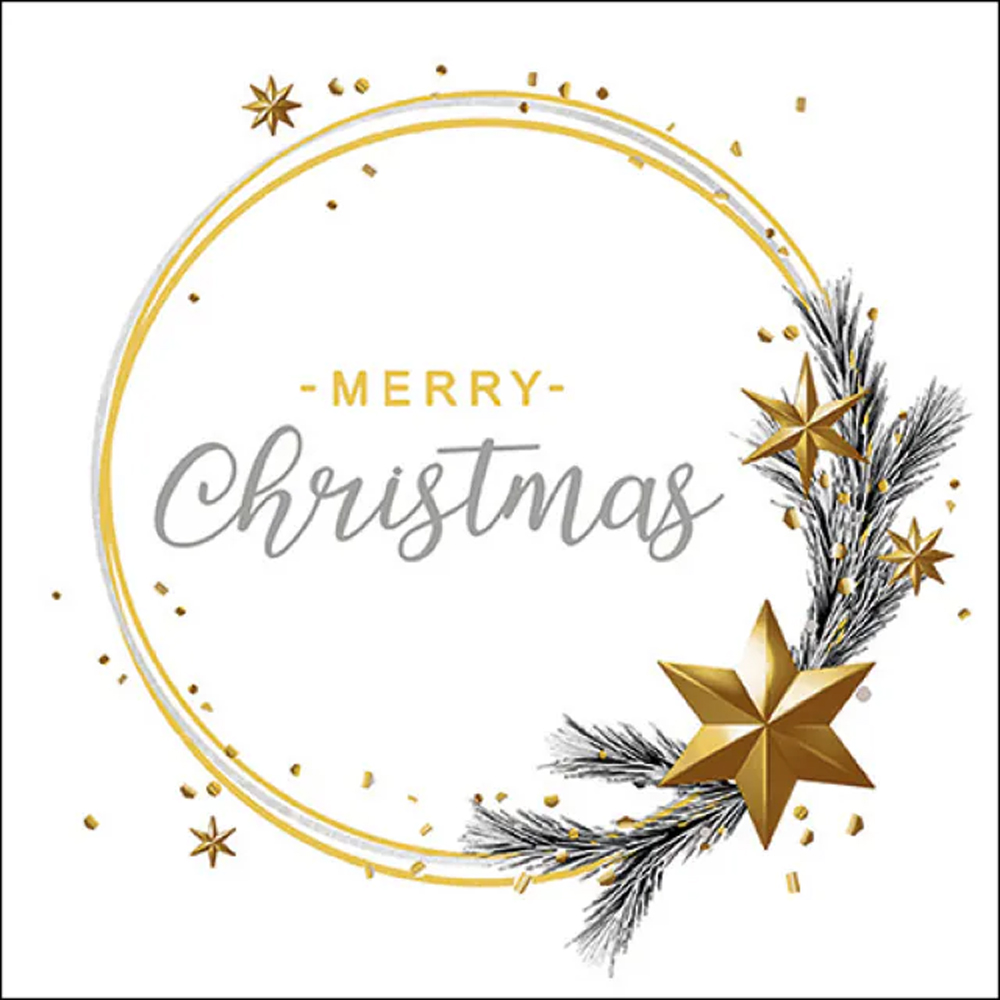 NAPKIN WISHING RING WHITE FSC 3PLY 33X33CM 20PCS