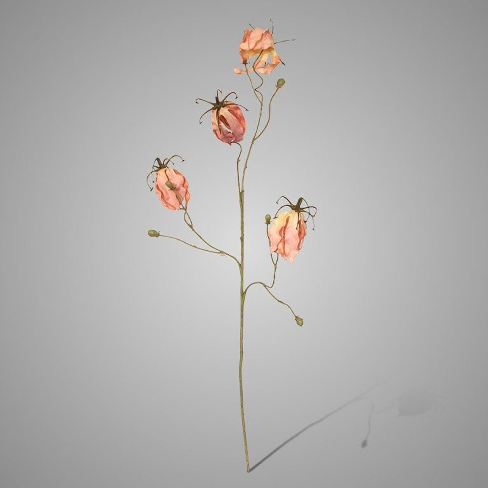 GLORIOSA ANTIQUE PINK 80CM