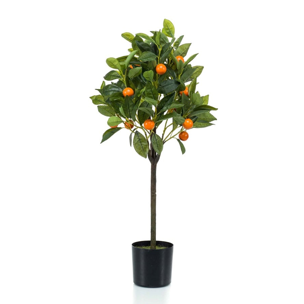 ORANGE TREE IN POT 75CM