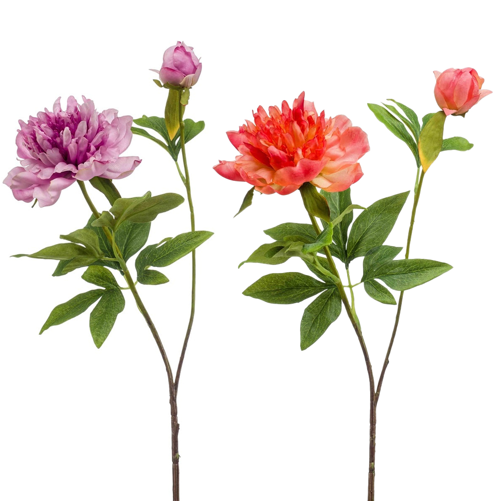 PEONY SARAH SPRAY 73CM