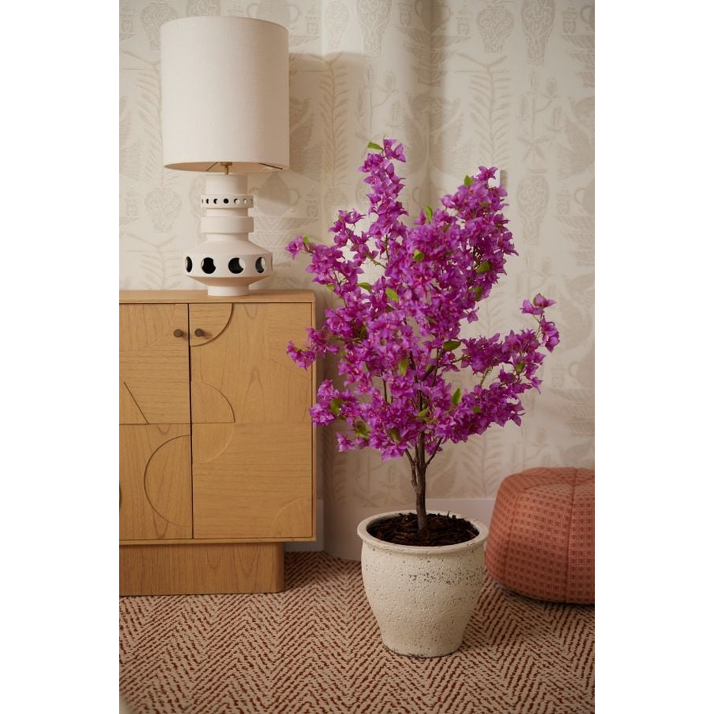 BOUGAINVILLEA TREE PURPLE 145CM - Image 2
