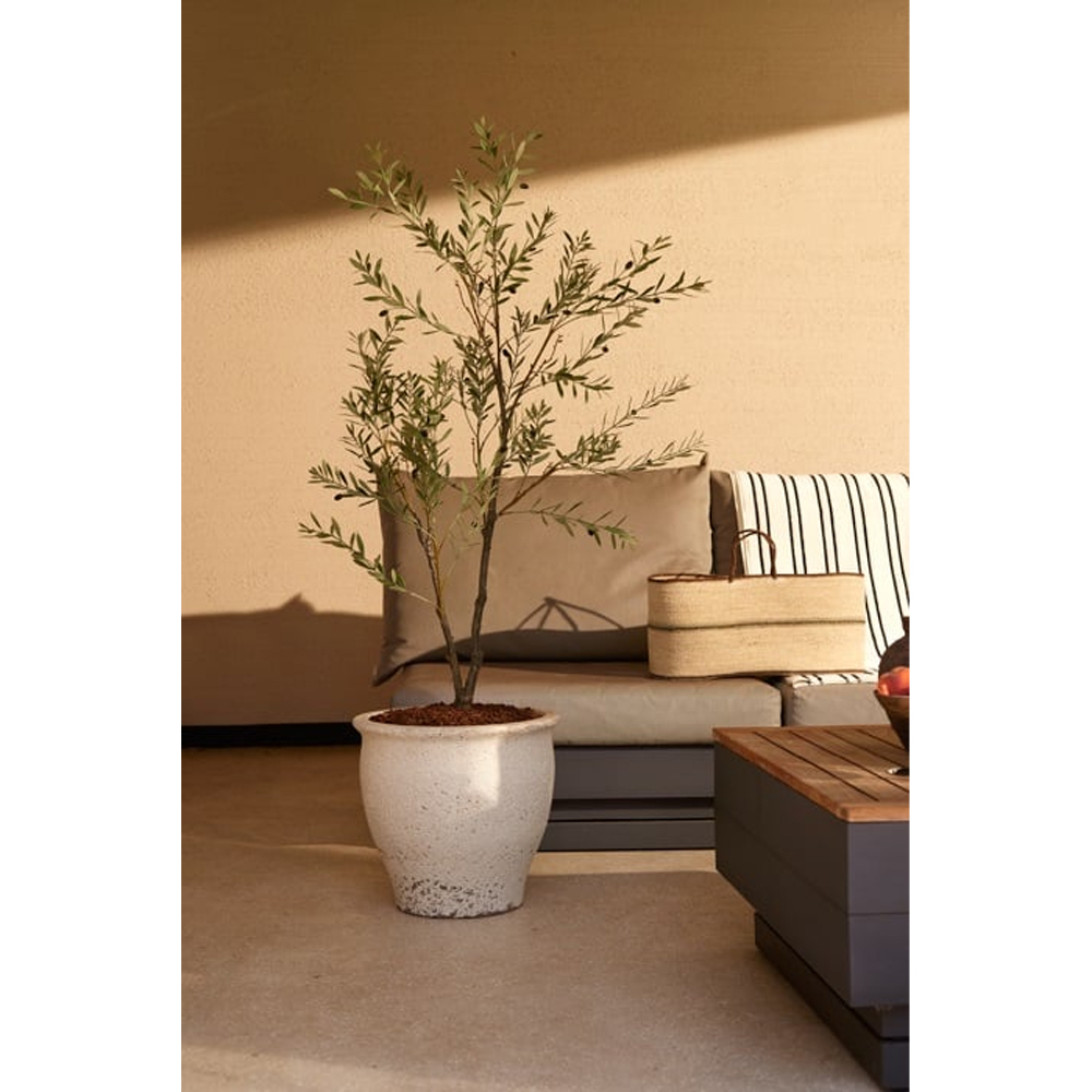 OLIVE TREE UV 140CM - Image 2