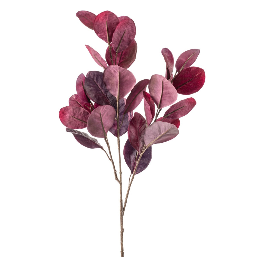 COTINUS LVS SPRAY PURPLE 80CM