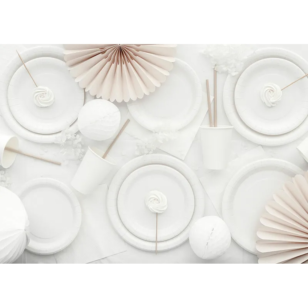 PAPER CUPS 250ML 6PCS - Image 15