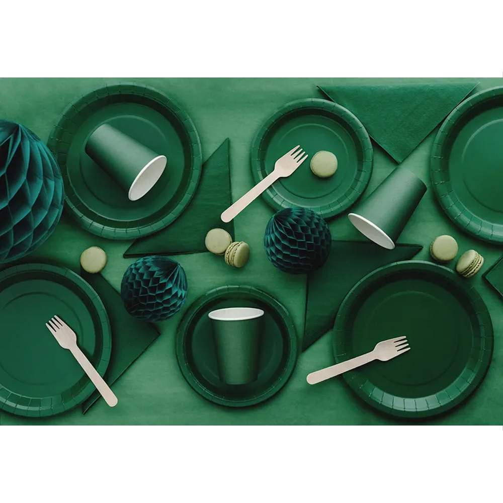 PAPER CUPS 250ML 6PCS - Image 19