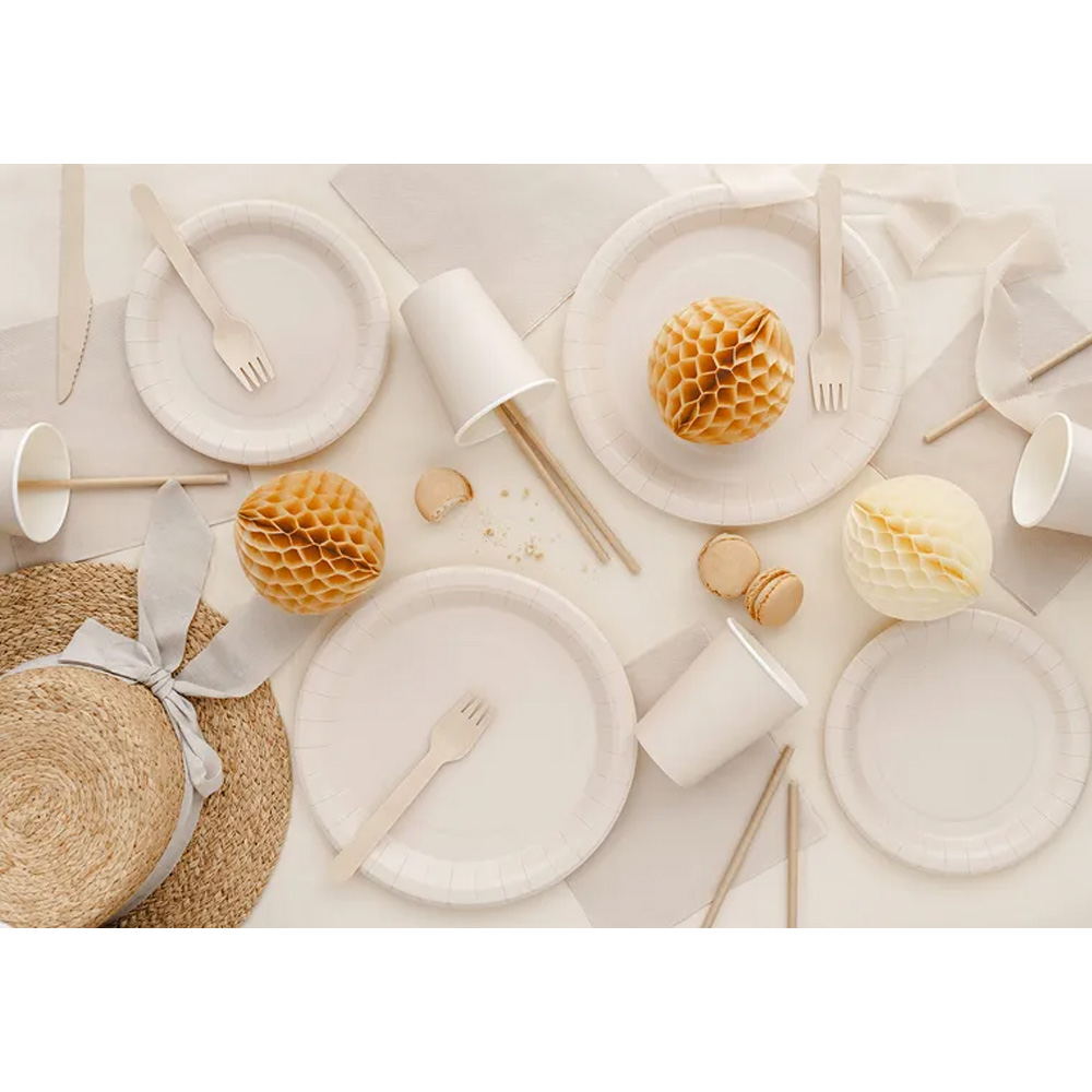 PAPER CUPS 250ML 6PCS - Image 20