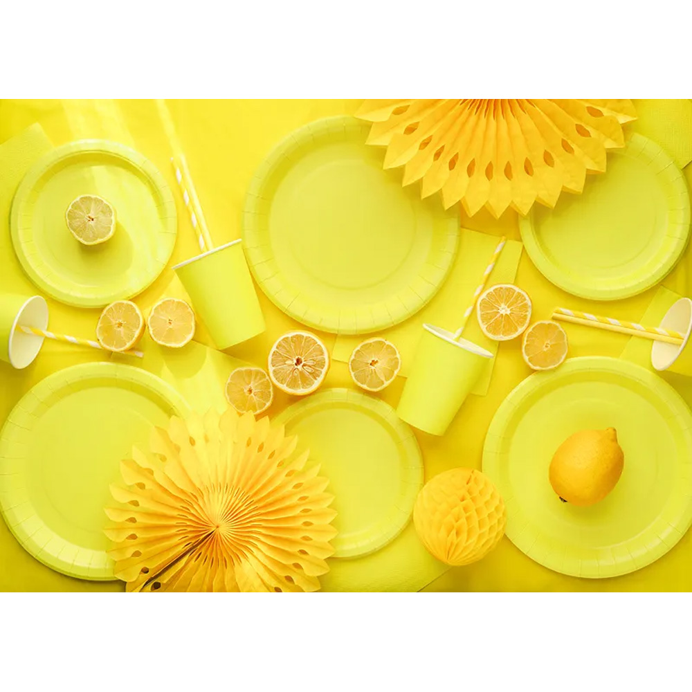 PAPER CUPS 250ML 6PCS - Image 23