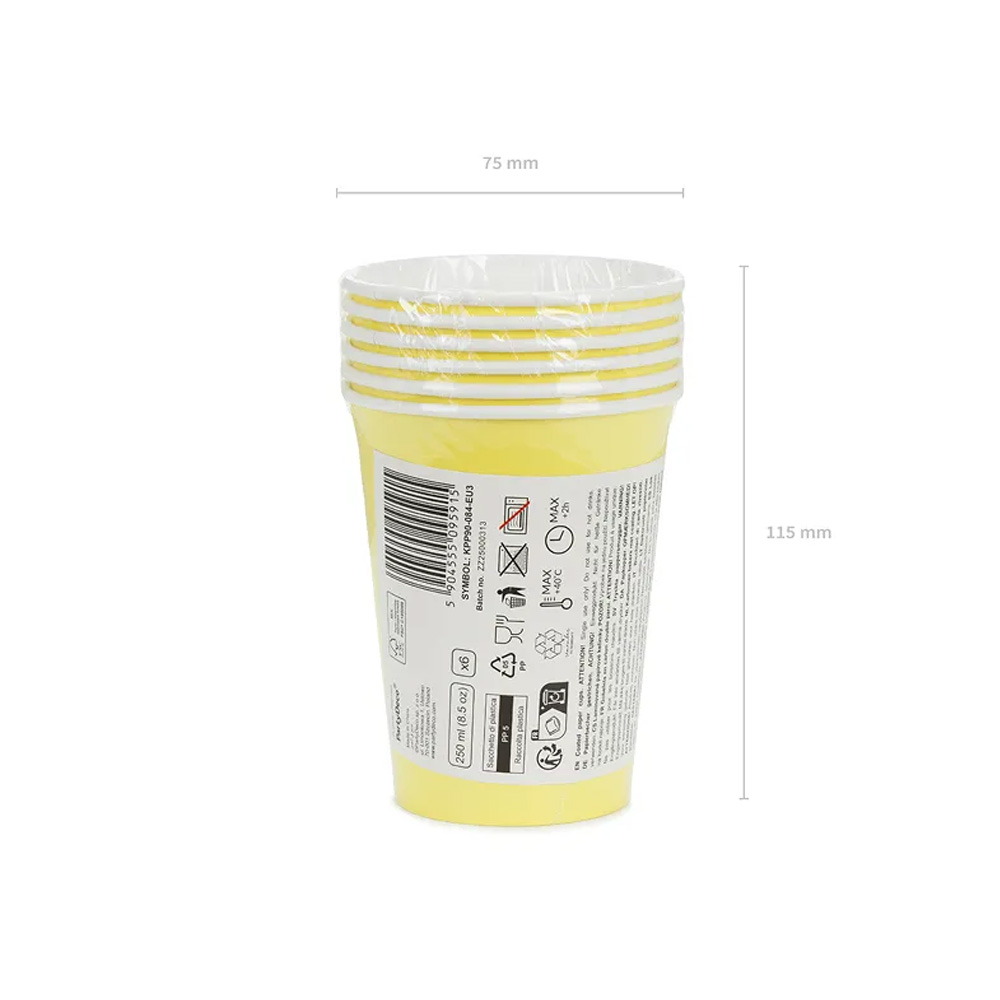 PAPER CUPS 250ML 6PCS - Image 24