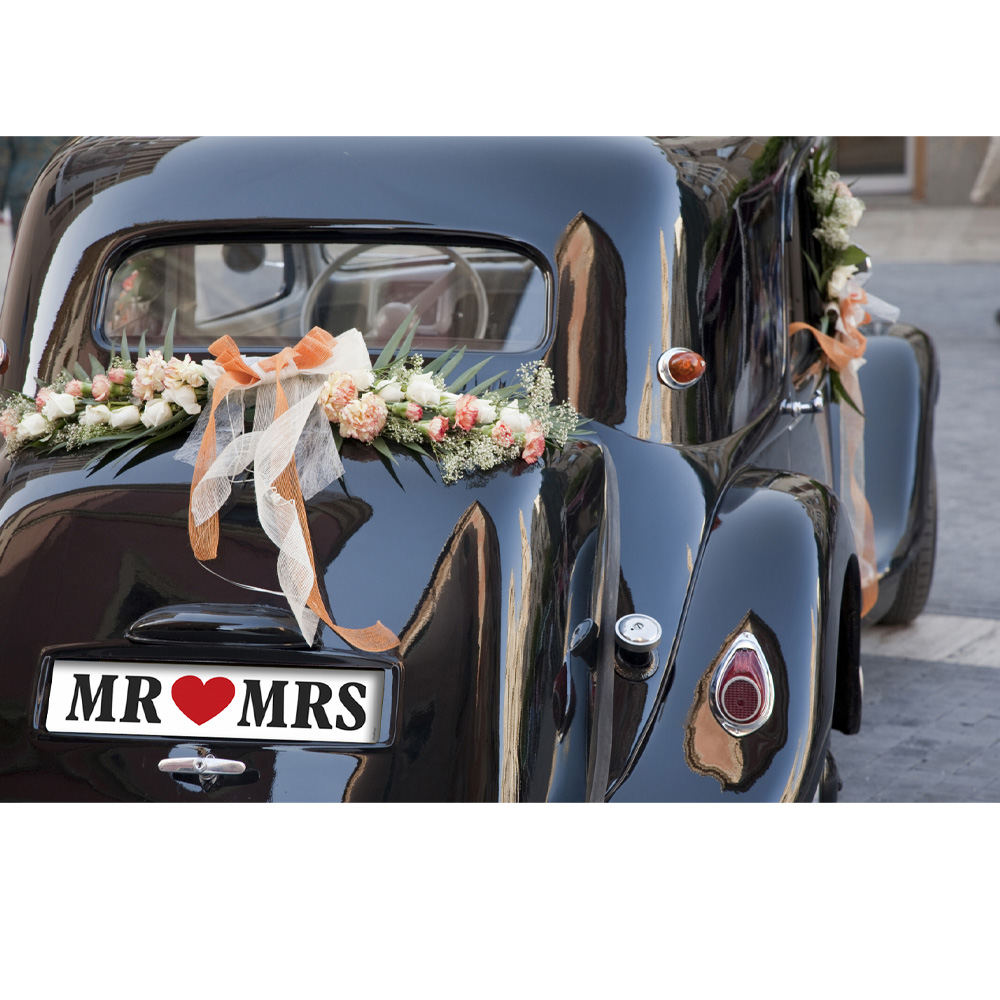 NUMBER PLATES MR&MRS 50X11.5CM - Image 2