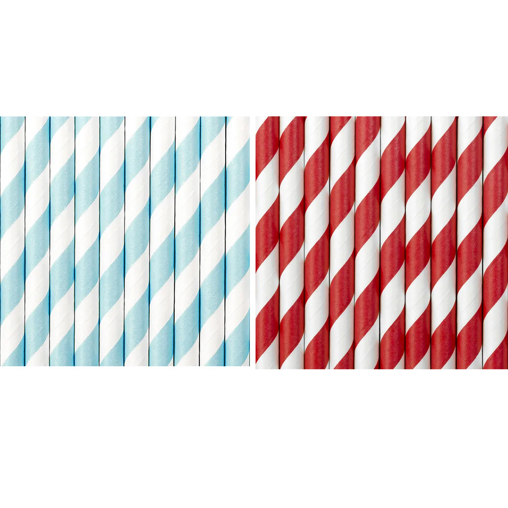 PAPER STRAWS 19.5CM 10PCS