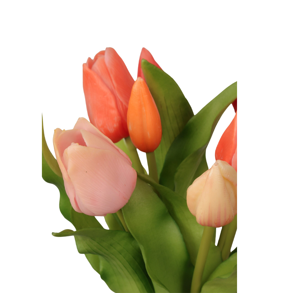 TULIP BUSH X7 OLIVIA 31CM - Image 3