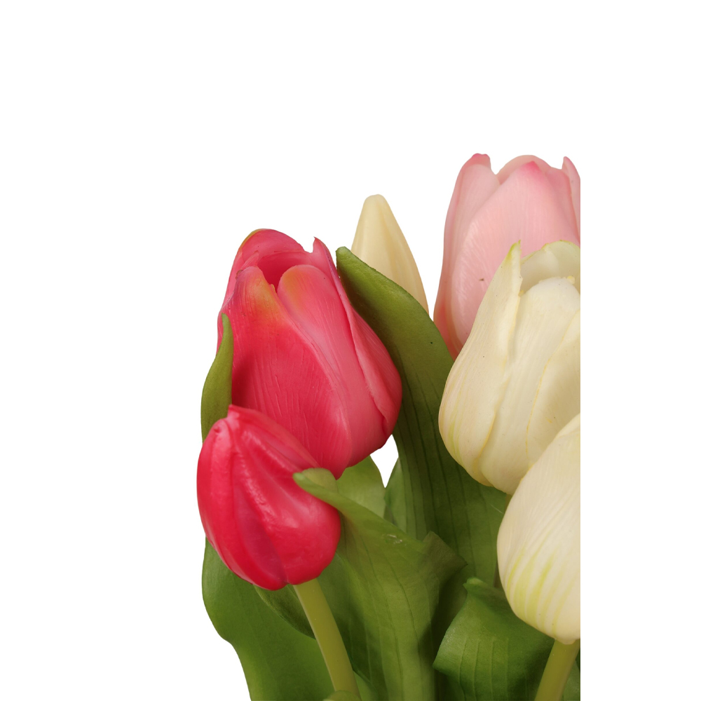 TULIP BUSH X7 OLIVIA 31CM - Image 2