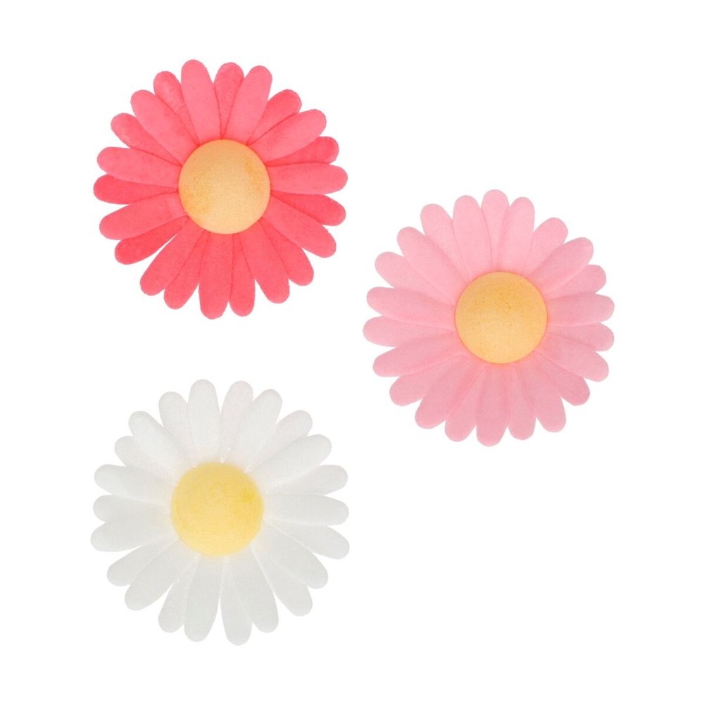 FUNCAKES EDIBLE WAFER FLOWERS DAISY 13PCS - Image 3