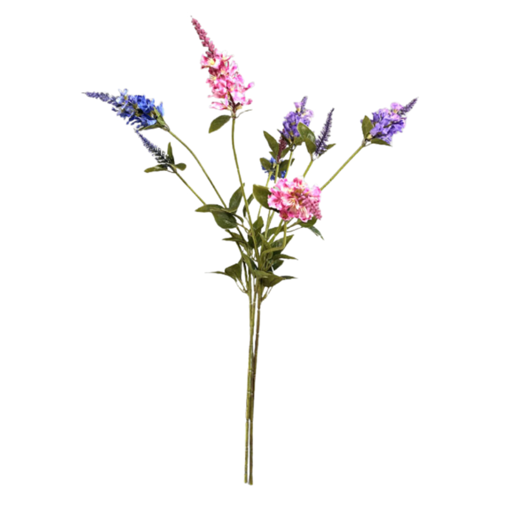 SORTMENT OF VERONICA MULTI SPRING 62CM