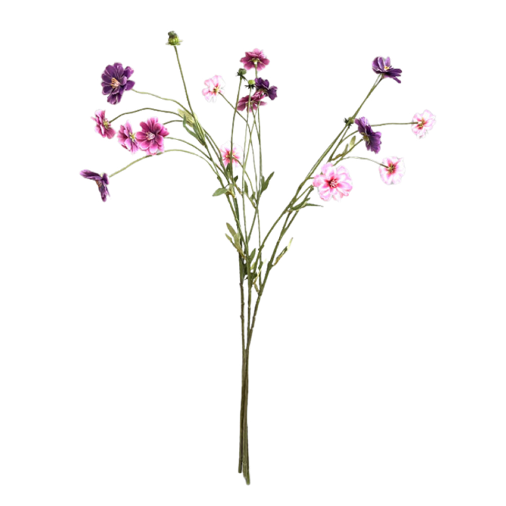 SORTMENT DIANTHUS SPRING 65CM