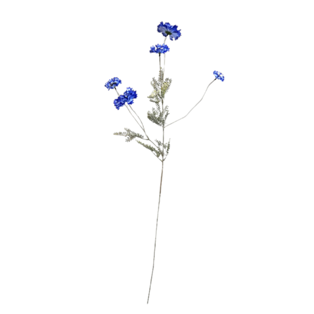 CENTAUREA BLUE 85CM