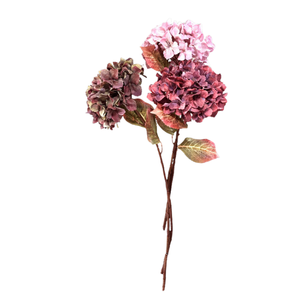 SORTMENT HYDRANGEA SOBER SPRING 65CM