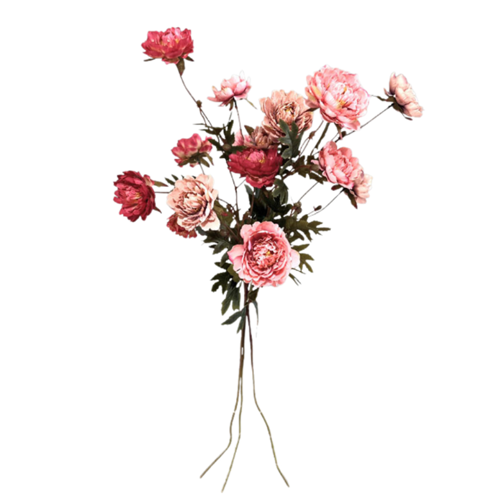 SORTMENT RANUNCULUS SOBER SPRING 92CM