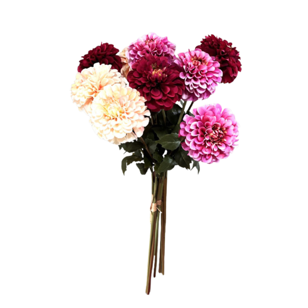 SORTMENT OF DAHLIA BUNDLE/3 SPRING 2026 56CM